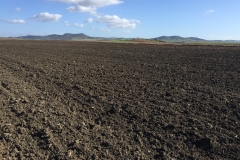 01.-Parcela-de-ensayos