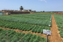 18.-Contraestación-2019