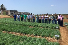 19.-Reunión-de-técnicos-de-Agrovegetal-en-Conil
