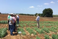 21.-Garbanzos-y-guisantes-en-contraestación