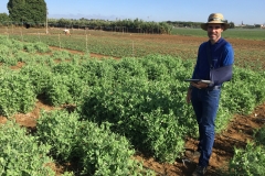 24.-Al-mal-tiempo-buena-cara...