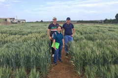 29.-Equipo-antiroyas