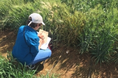 31.-Tomando-muestras