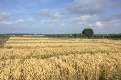 37.-Madurez-en-septiembre