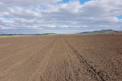 01. Lecho de siembra en Conil