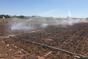 10-Siembra-contaestacion