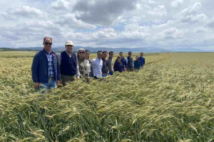 11.-Con-Bondadoso-R1