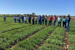 18.-Reunion-de-Tecnicos-en-Julio