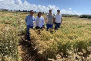 23.Visita-investigadores-del-IFAPA-y-USE