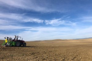 01.-Siembra-de-enayos-en-Cordoba