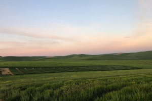 03.-Panoramica-ensayos-Cordoba