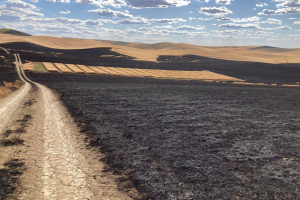 09.-Incendio-alrededor-del-ensayo