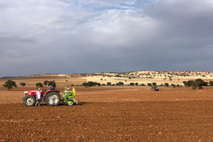 13.-Siembra-en-Los-Pedroches