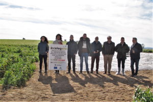 17.-Visita-a-ensayos-de-CELEGAND