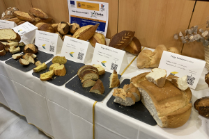 20.-Cata-de-panes-varietales-en-el-IAS-CSIC