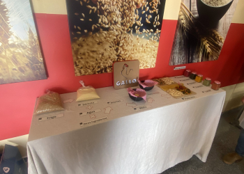 02.-Visita-a-fabrica-de-Gallo