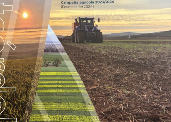 16.-Publicacion-ensayos-SAT