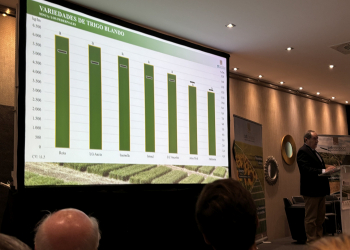 18.-Resultados-trigo-blando