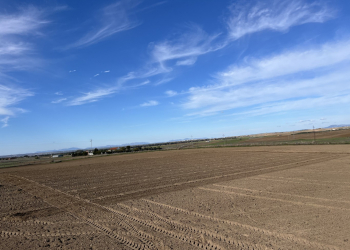 01.-Covap-Pozoblanco-ensayo-siembra