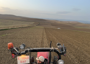 09.-Cordoba-ensayos-siembra