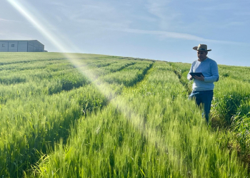 11.-Francisco-tomando-datos