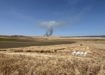 17.-Cordoba-ensayos-cosecha-3