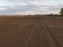 Córdoba_20