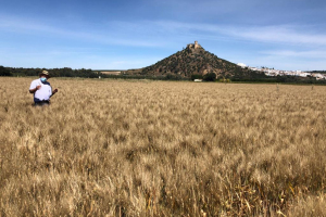 18-Base-de-Calero