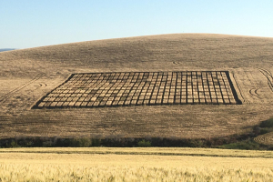 19-Ensayos-Cordoba-en-mayo