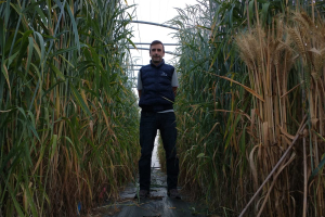 26-Carlos-Guzman-en-invernadero-de-la-UCO