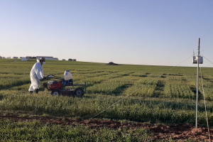 04.-Cortando-pasillos