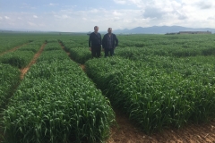 03. Con el propietario de la finca