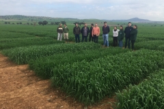 05. Visita de estudiantes de Veterinaria de Córdoba