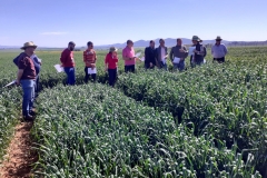 10. Visita de agricultores