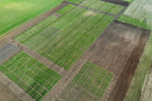 02.-Panoramica-de-ensayos-en-febrero