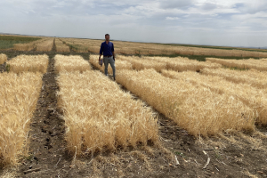 08.-Visita-de-Miguel-Sanchez-ICARDA