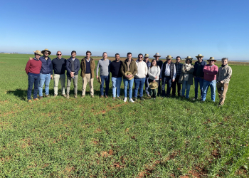 04.-Visita-a-los-ensayos-con-tecnicos