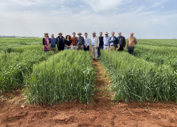 07.-Consejo-de-Administracion-en-Ecija