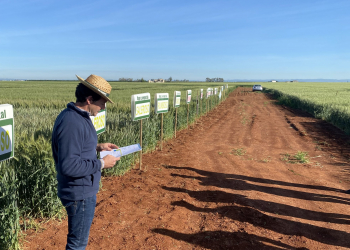 12.-Fran-explicando-las-bandas