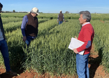 15.-Explicando-nuevas-variedades