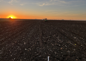 00.Ecija-ensayos-siembra-1