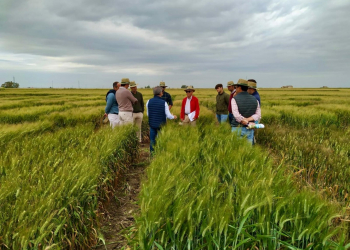 10.-Visita-agricultores
