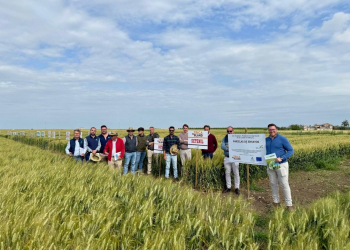 12.Visita-a-ensayos-TRICABLAND