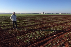 02.-Ensayos-de-guisante-naciendo