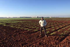 03.-Variedades-difeenciales-de-roya-naciendo