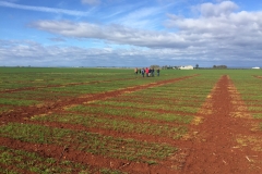 05.-Visita-a-campos-de-ensayo