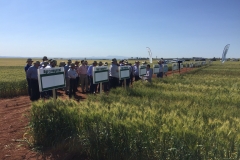 21.-Visita-a-bandas-comerciales