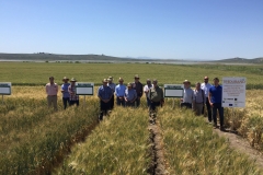 23.-Grietas-por-sequía-en-abril-