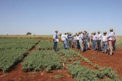 24.-Ensayos-de-variedades-de-garbanzo