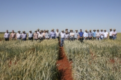 26.-Visita-a-ensayos-de-nuevos-triticales